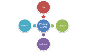 why standard operating procedures fail